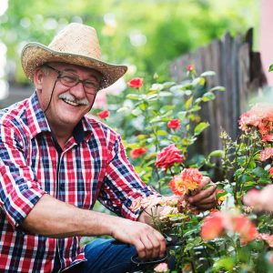 gardening. man working in the garden. hobbies and leisure gardening. man working in the garden. hobbies and leisure